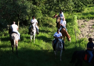  Trekking en la naturaleza a caballo 